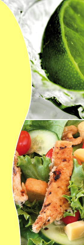 bodyplus - Programm zur Gewichtsreduktion